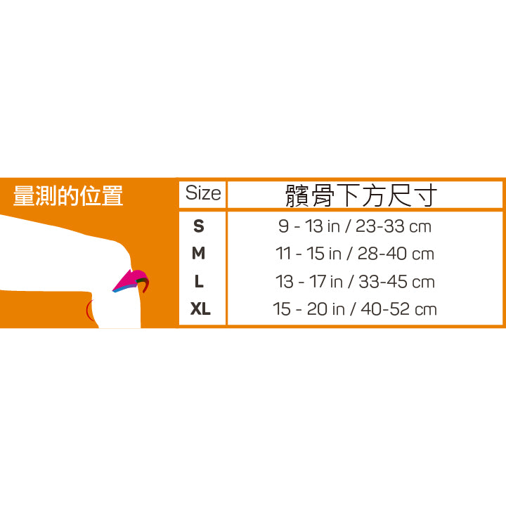 PS3髕骨肌腱加壓護具(單隻)